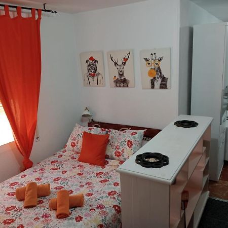 Apartamento Con Encanto 'Larios Studio' Apartment Malaga Exterior photo